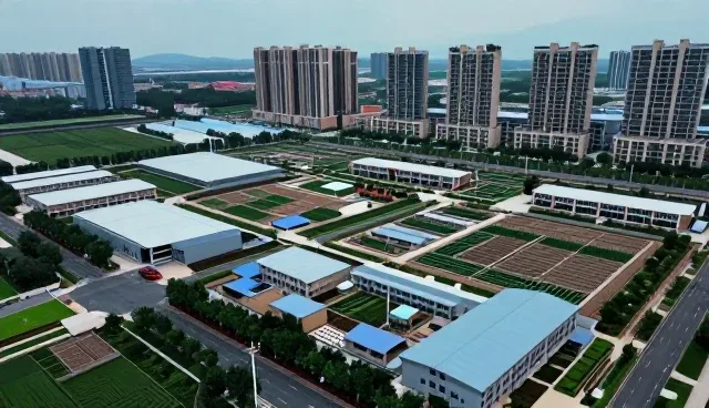 运维支持选型中如何判断检查要点？